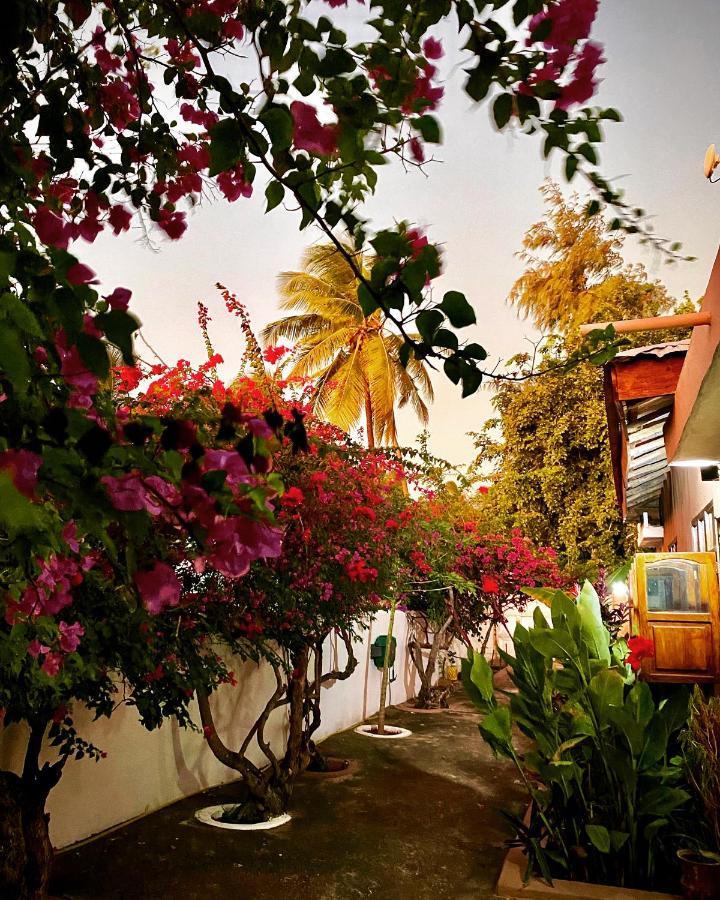 Villa Orchid Beach Guest House Bwejuu Zewnętrze zdjęcie
