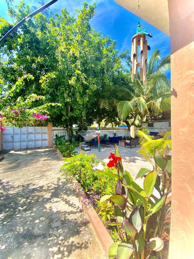 Villa Orchid Beach Guest House Bwejuu Zewnętrze zdjęcie