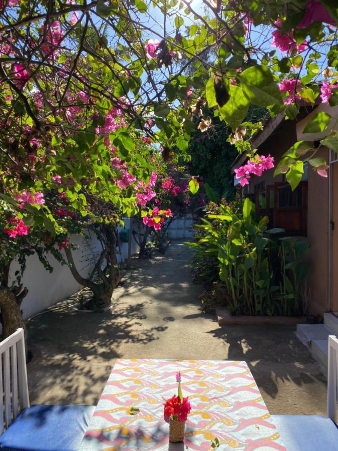 Villa Orchid Beach Guest House Bwejuu Zewnętrze zdjęcie