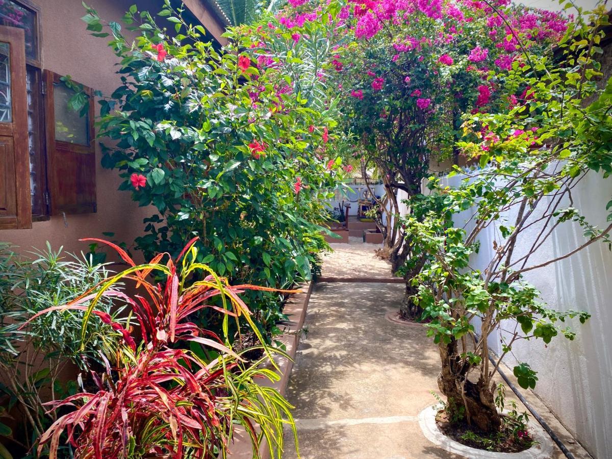 Villa Orchid Beach Guest House Bwejuu Zewnętrze zdjęcie