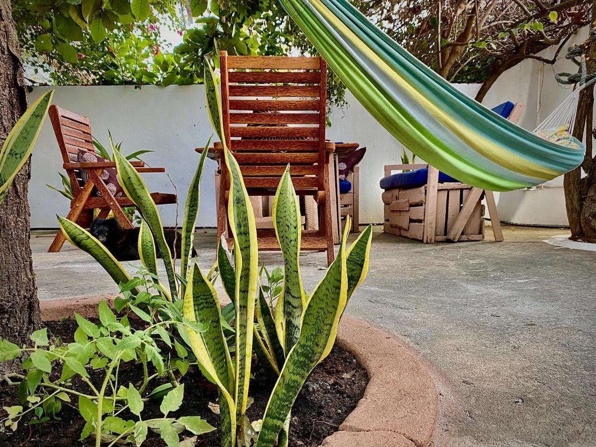 Villa Orchid Beach Guest House Bwejuu Zewnętrze zdjęcie
